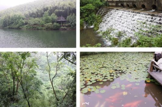 2018j9九游会环保常州天目湖公司旅游拓展