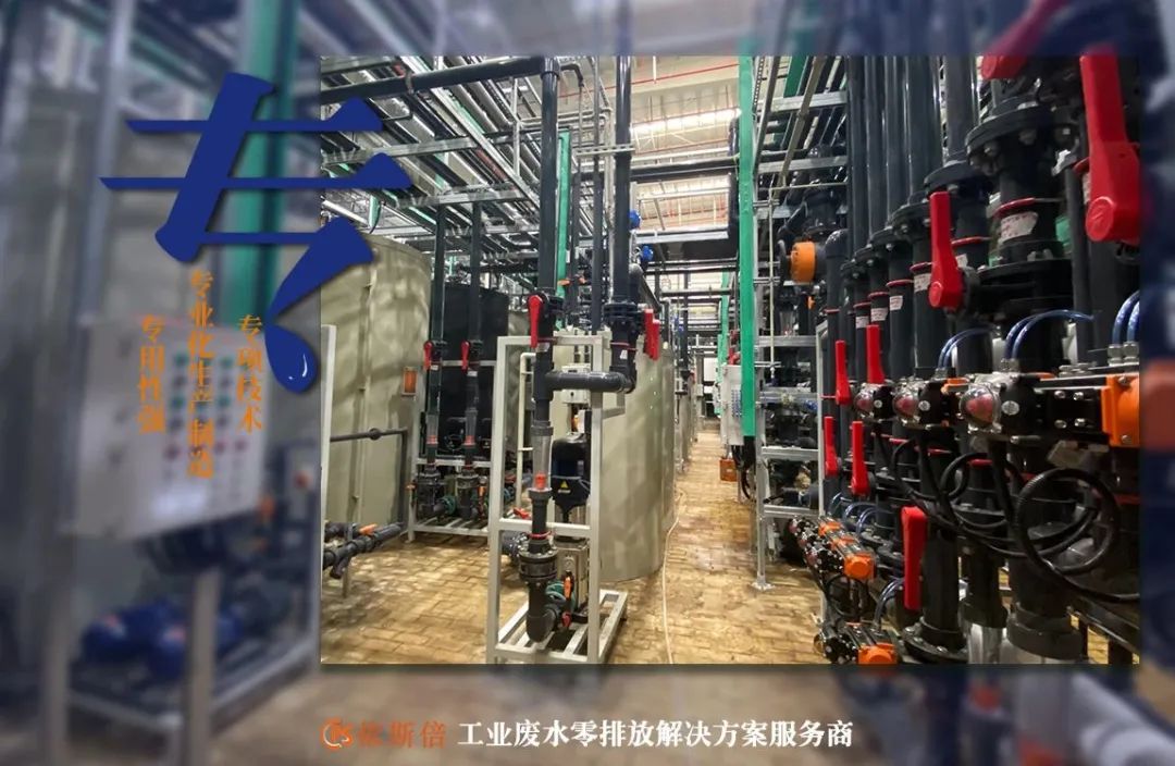j9九游会入选2022年省级专精特新企业
