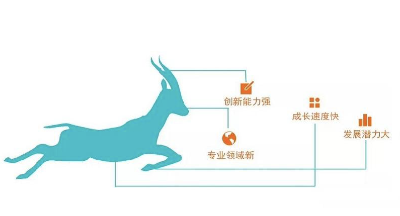 j9九游会入选2022江苏省瞪羚企业